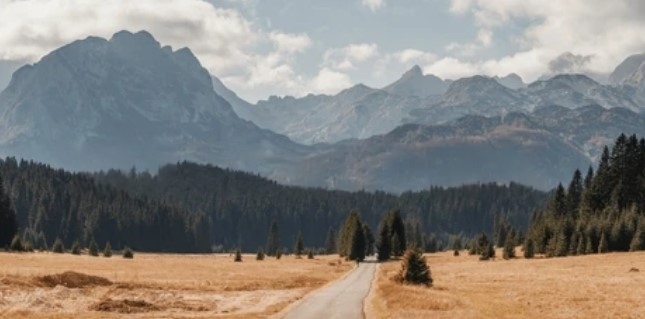 Road to Žabljak