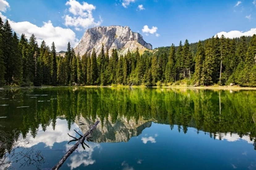 Trail to Snake Lake