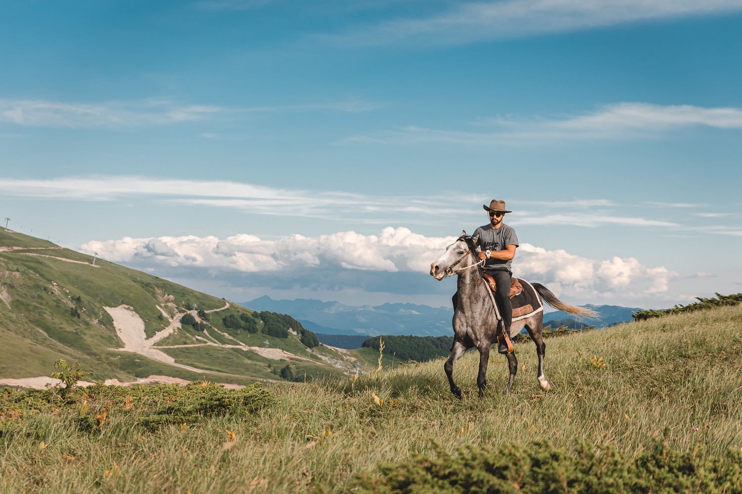 Horseback riding