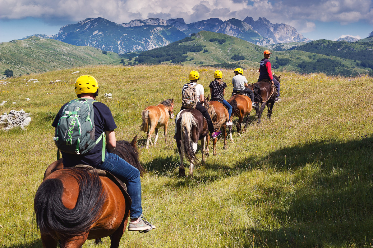 Horseback riding