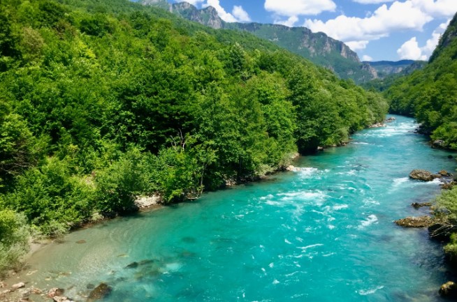 Crystal-clear Tara River flowing through the canyon